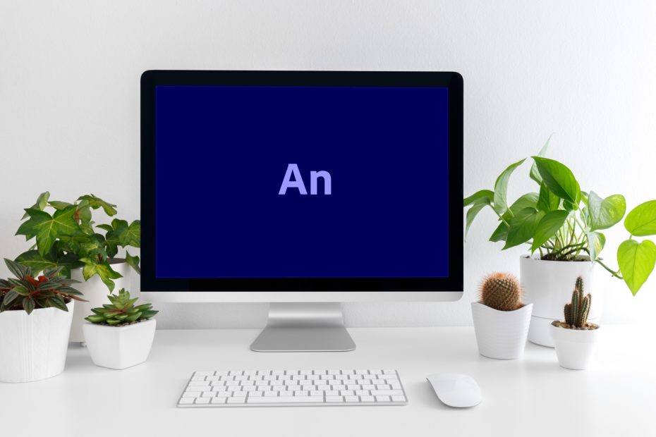 Getting ready to work with Adobe Animate